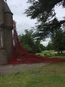 Black Watch Museum Poppy Weeping Window